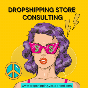 Dropshipping Store Consulting